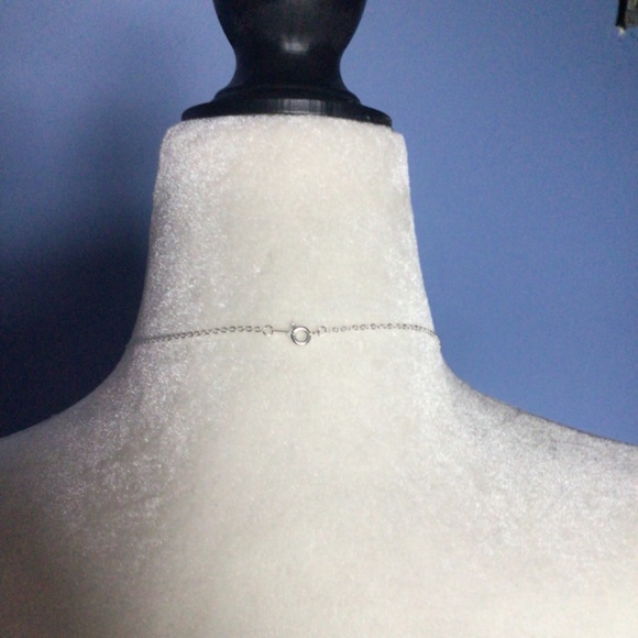 Sand dollar pendant with necklace - Picture 3 of 8